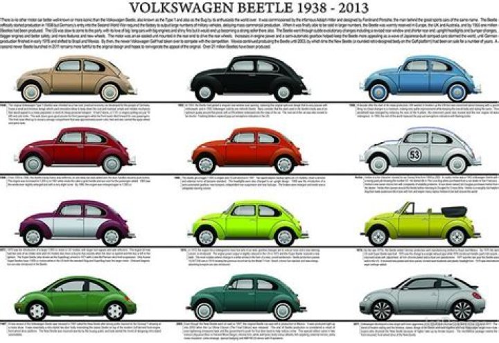 What are the different VW Beetle models?