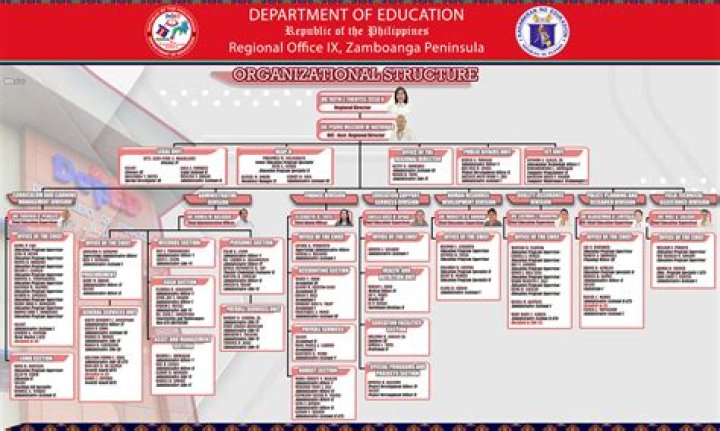 What are the divisions of DepEd?
