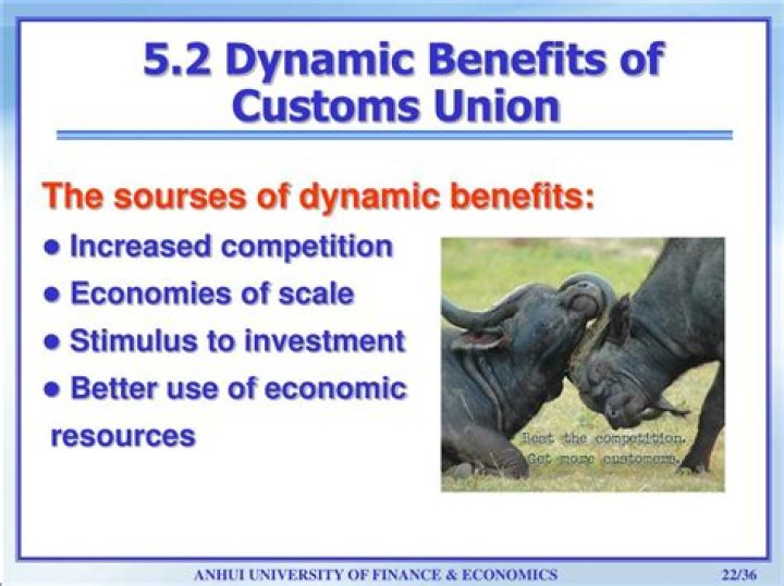 What are the dynamic benefits from customs union?