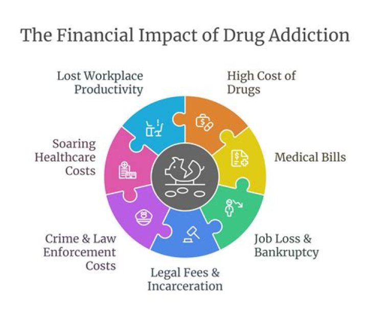 What are the economic consequences of drug use?