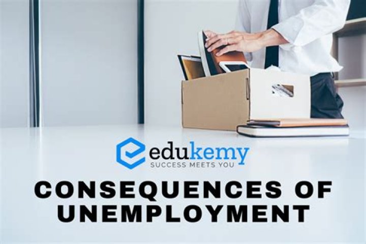 What are the economic consequences of unemployment?