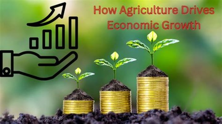 What are the economic important of agriculture?