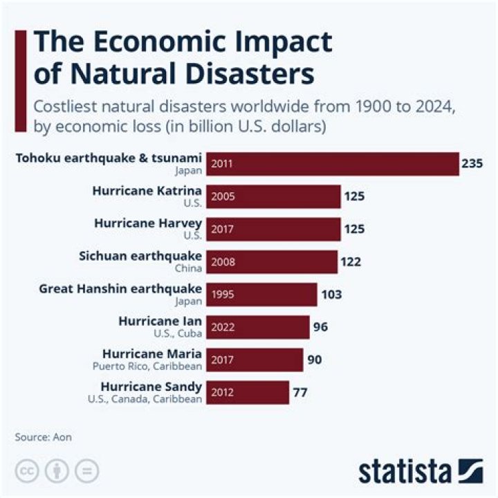 What are the effects of disasters on the economy of a community?