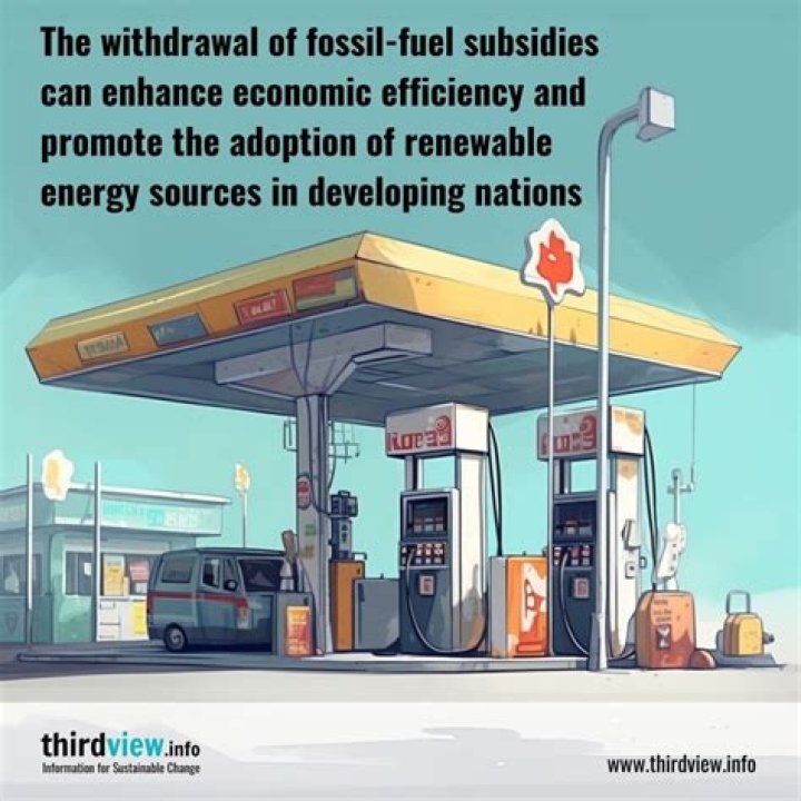 What are the effects of fuel subsidy removal?
