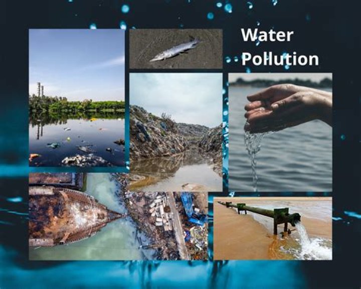 What are the effects of water pollution to the environment?