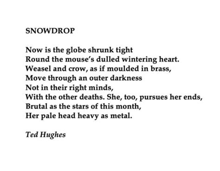 What are the features of Ted Hughes poetry?