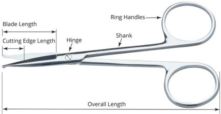 What are the finger holes in scissors called?