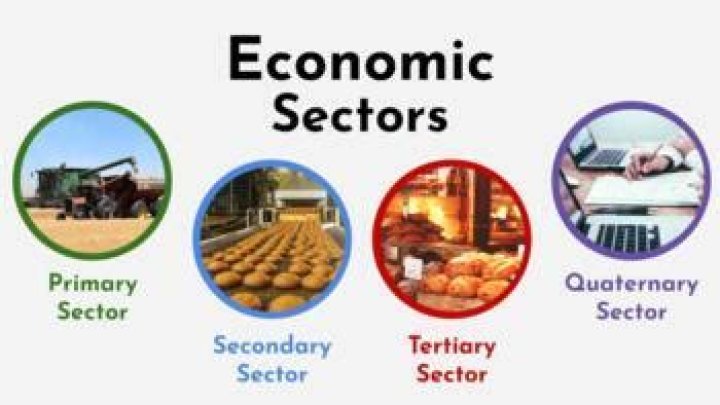 What are the four sectors of the economy quizlet?