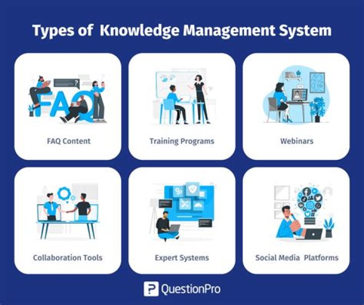 What are the four types of knowledge management?