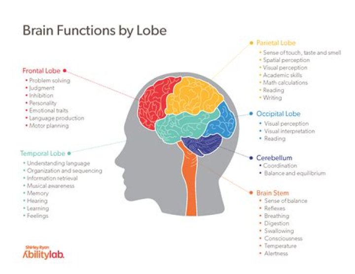 What are the functions of a BI competency center?