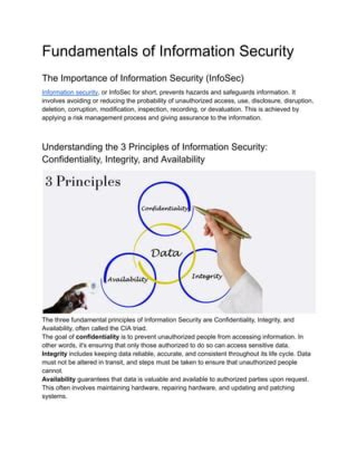 What are the fundamentals of information security?