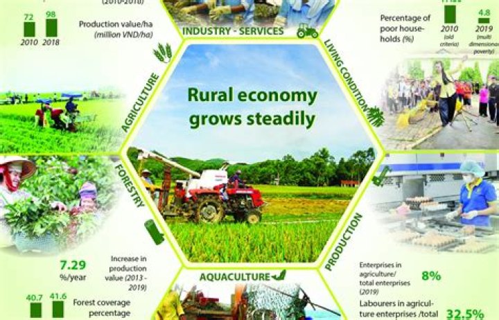 What are the key features of rural economy?