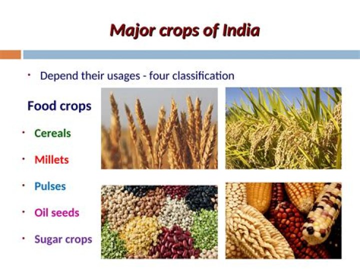 What are the main crops cultivated in Tamil Nadu?