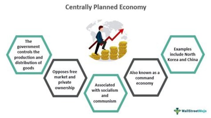 What are the main features of a centrally planned economic system?