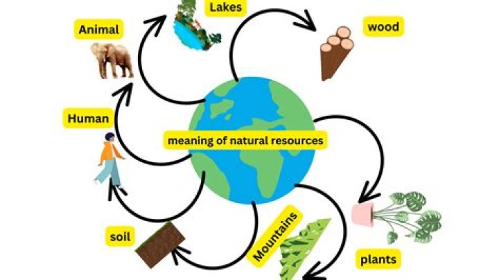 What are the main natural resources of the United Kingdom?