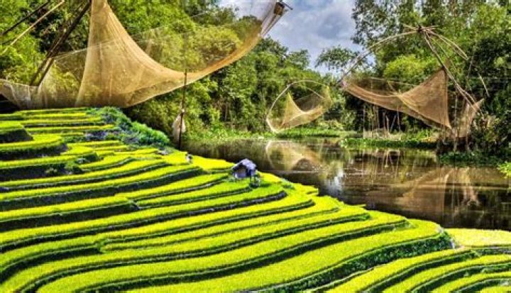 What are the major resources of Vietnam?