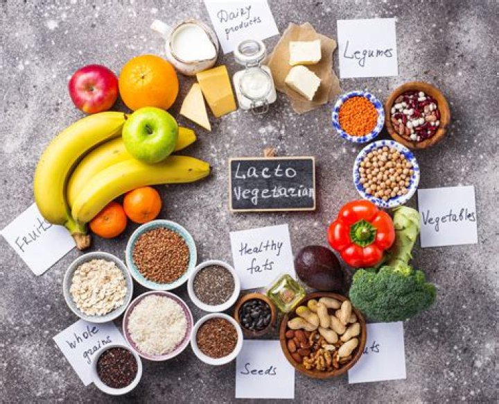 What are the nutritional needs of a lacto vegetarian?