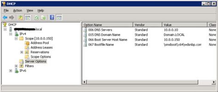 What are the options for DHCP What is option 66?