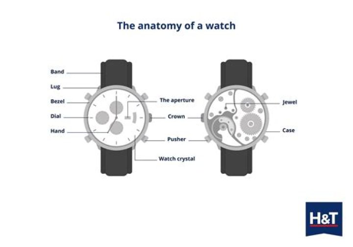 What are the parts of a watch?
