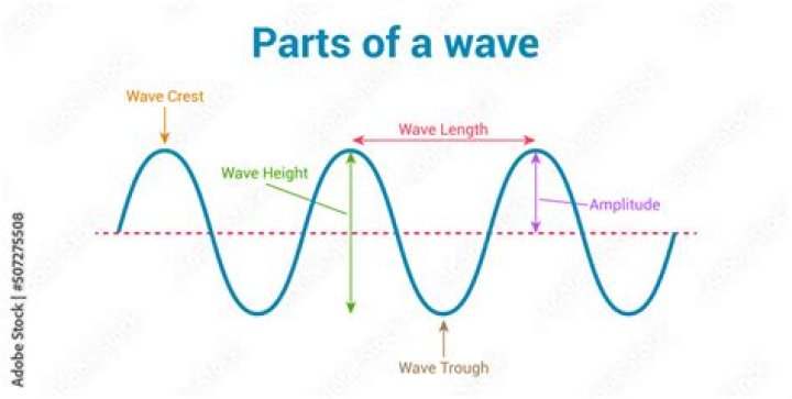 What are the parts of a WAV?