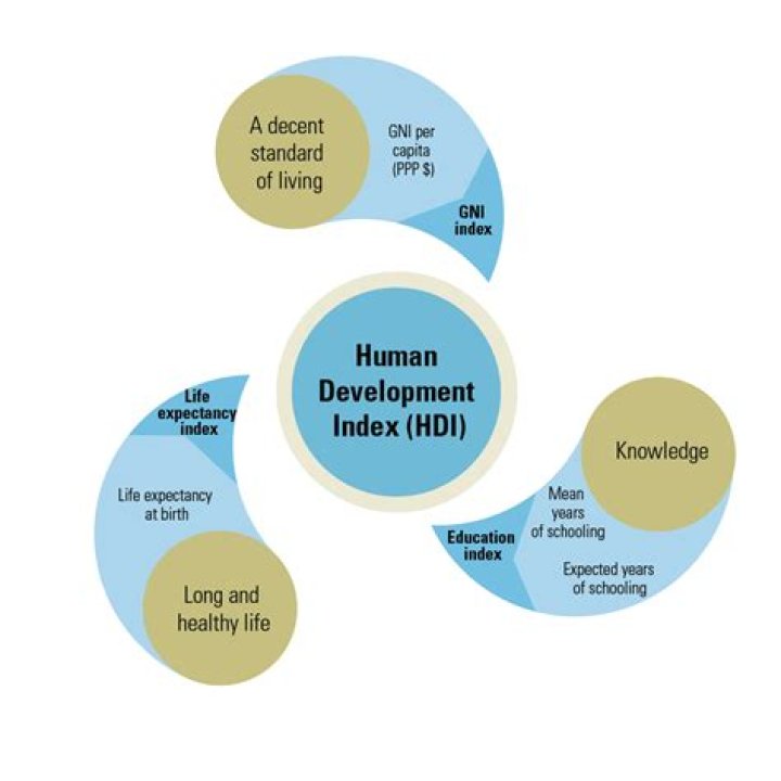 What are the pros of HDI?