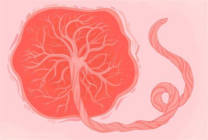 What are the risks of eating placenta?