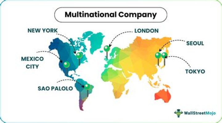 What are the role of multinational companies?