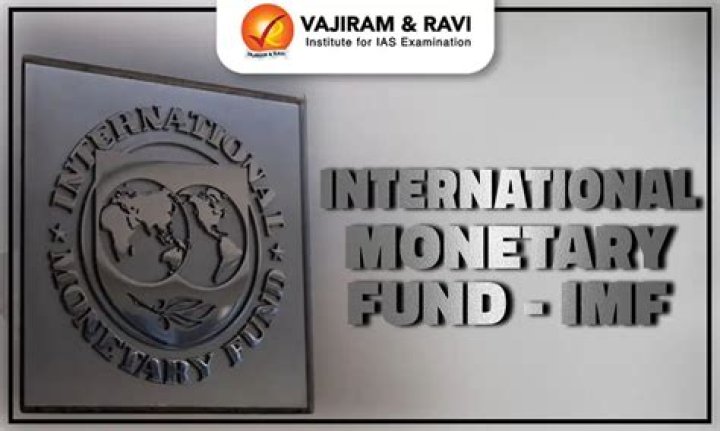 What are the roles of International Monetary Fund?