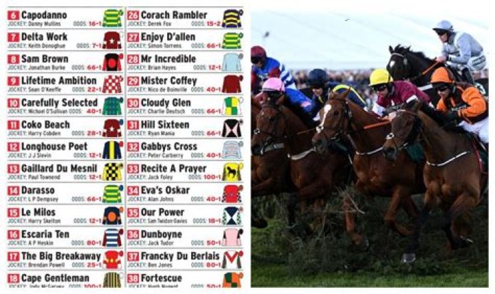 What are the Royal colours in horse racing?