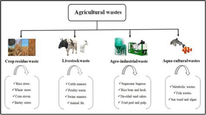 What are the sources of agriculture waste?
