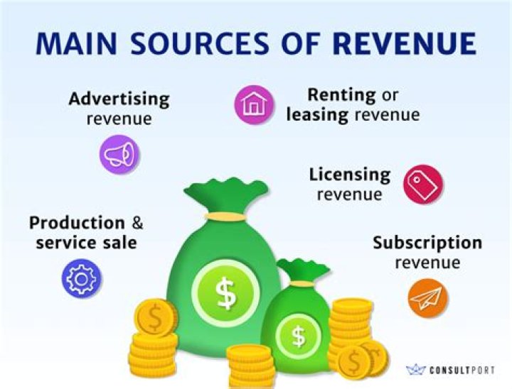 What are the sources of revenue for credit card companies?