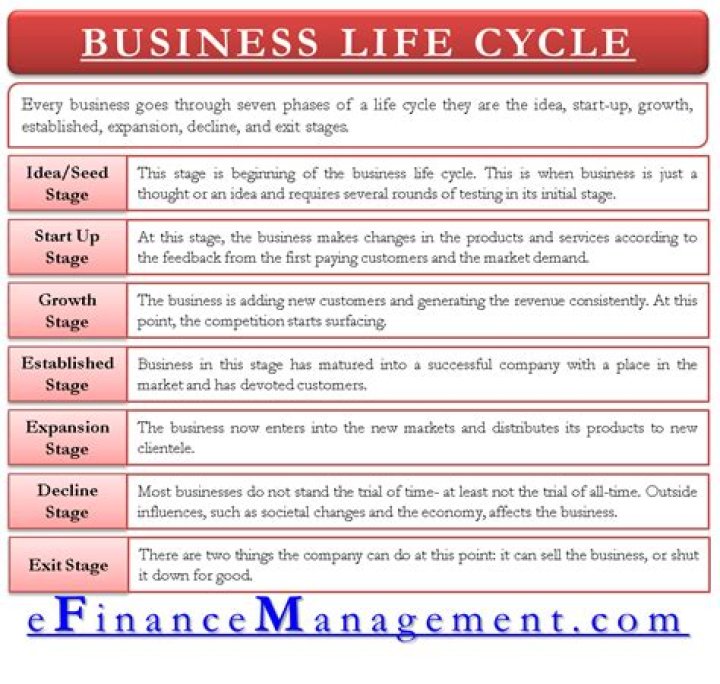 What are the stages of a business life cycle and its challenges?