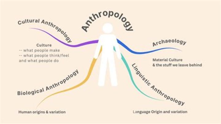 What are the sub branches of cultural anthropology?