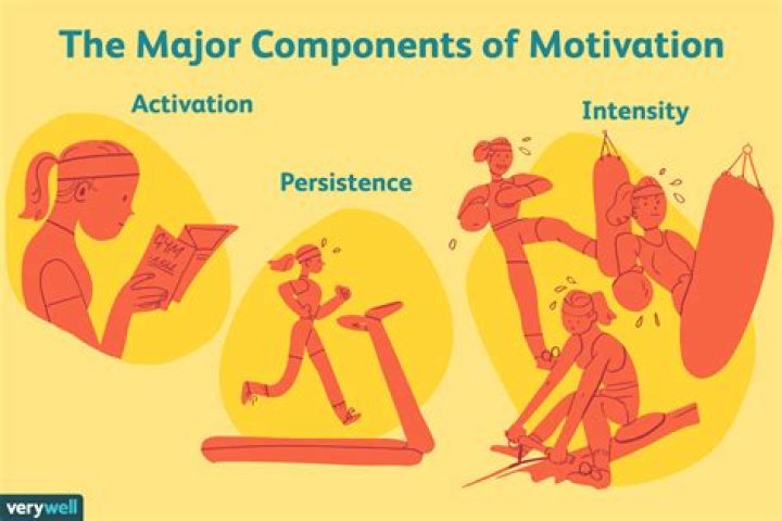 What are the theories of motivation in sport?