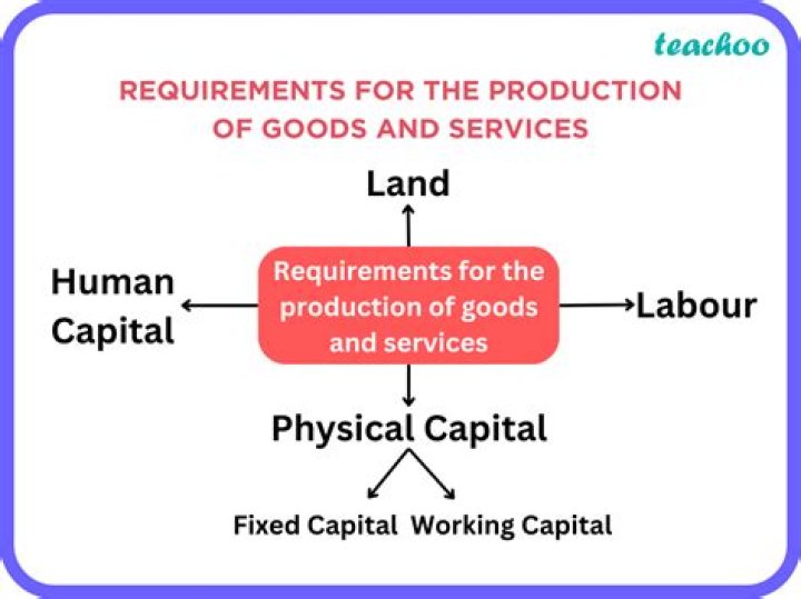 What are the tools equipment and machines used in the production of goods and services called in economics?