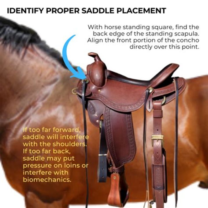 What are the top English saddle brands?