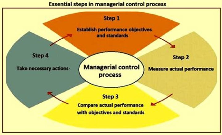 What are the traditional techniques of managerial control?