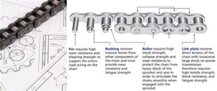What are the two plates of a roller chain?