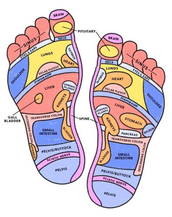What are the zones in reflexology?