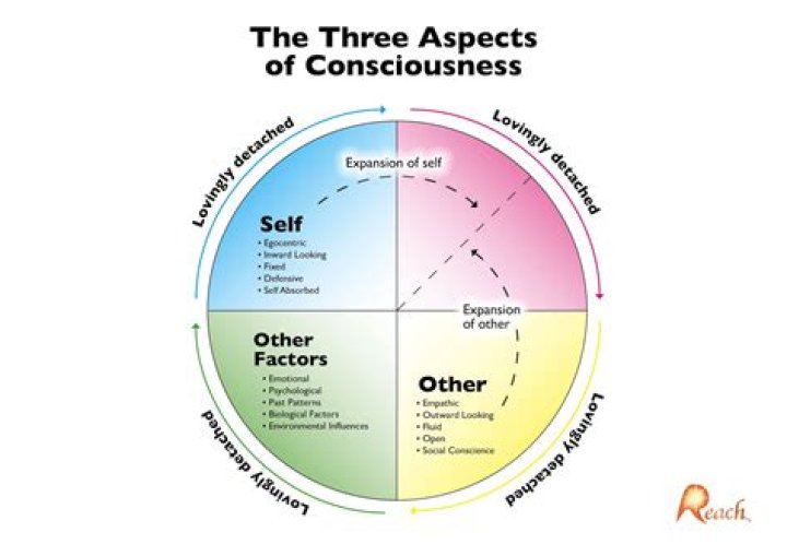What are three aspects of your open self?