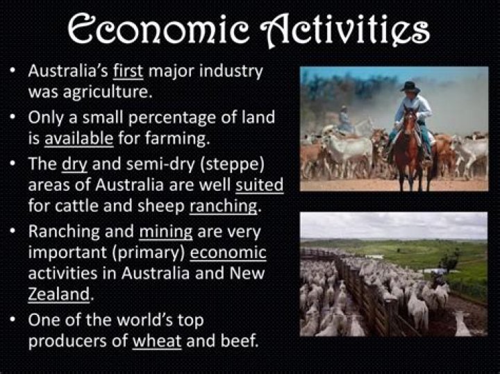 What are two major economic activities in South America?