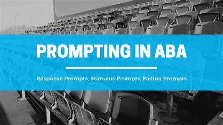 What are two types of stimulus prompts?