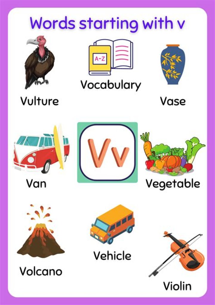 What are words that begin with V?