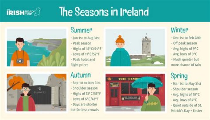 What birds stay in Ireland for the winter?