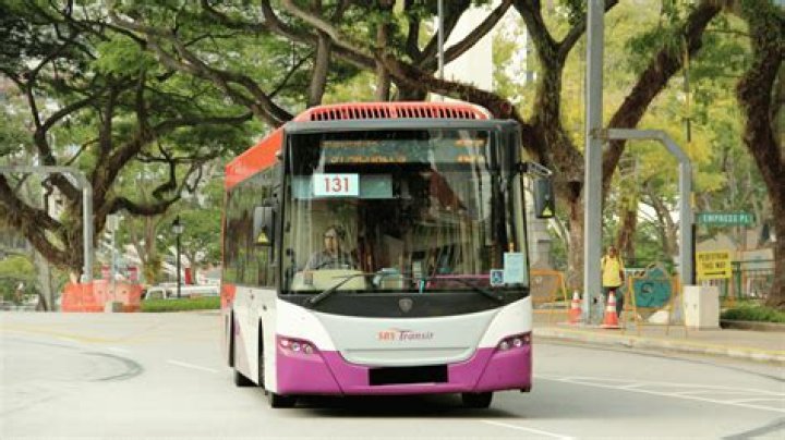 What brand are Singapore buses?