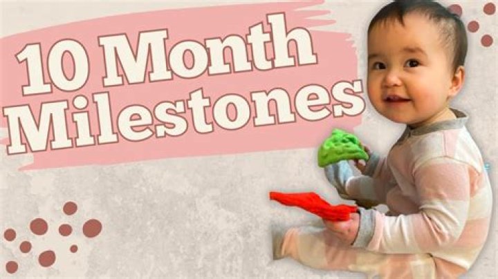 What can a 15 month old do intellectually?
