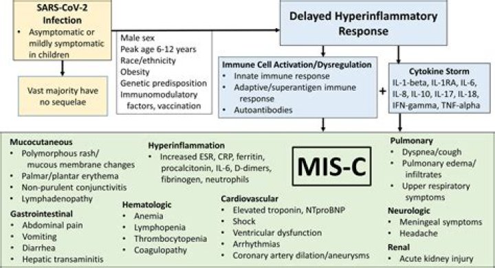 What can happen to children who have COVID-19 and Multisystem inflammatory syndrome in children (MIS-C)?