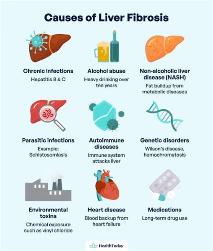 What causes fibrosis of the liver?