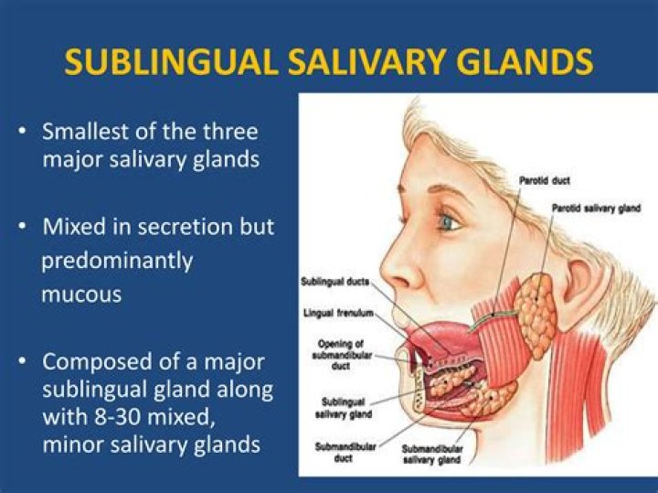 What causes the salivary gland to swell?