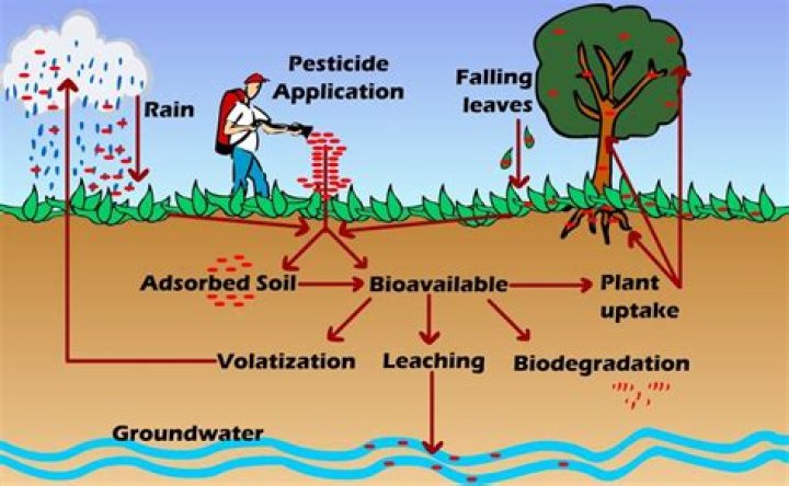What chemical used in farming pollutes water?
